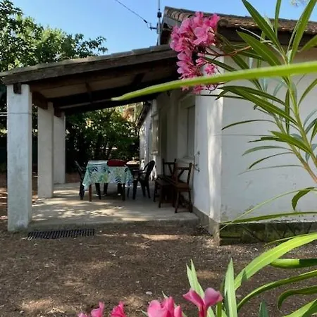 Maison 6 Personnes Sur Grand Terrain 100 M - V0261