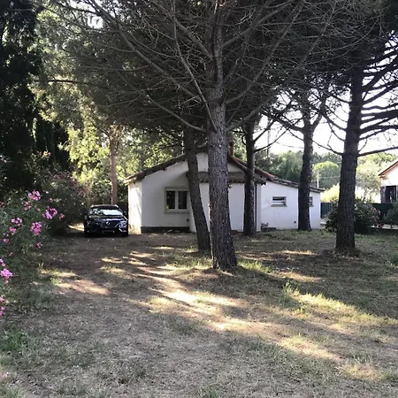 Maison 6 Personnes Sur Grand Terrain 100 M - V0261 Villa Vias
